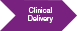 Clinical Delivery